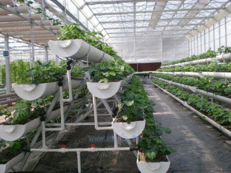供应三角架式基质栽培设施-北京金福腾科技有限公司