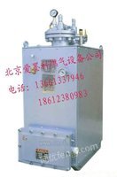 气化器液化气气化器-防爆汽化器