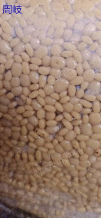 再生塑料颗粒出售