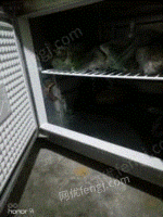 广东中山冰柜很省电够静音，是明铜管冰箱长1米8宽80出售