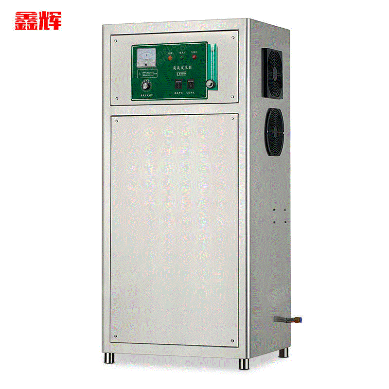供应水产养殖30G氧气源臭氧发生器臭氧机杀菌消毒污水臭氧消毒机 臭氧发生设备出售
