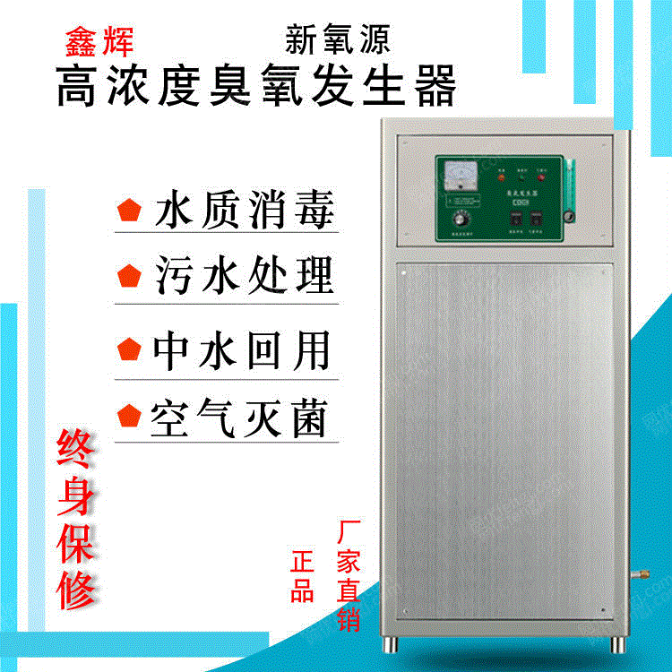 供应桶装水瓶30G氧气源臭氧发生器 桶装水瓶装水饮用水处理杀菌臭氧灭菌机 臭氧发生设备出售