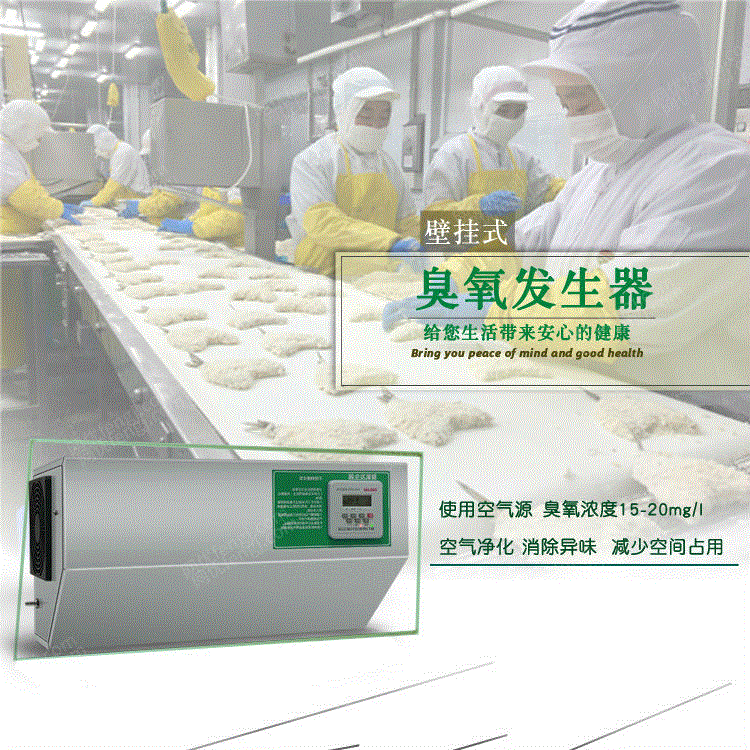 供应惠州臭氧发生器 10g工业食品厂车间仓库冷库杀菌臭氧机预防病毒感染 臭氧发生设备转让