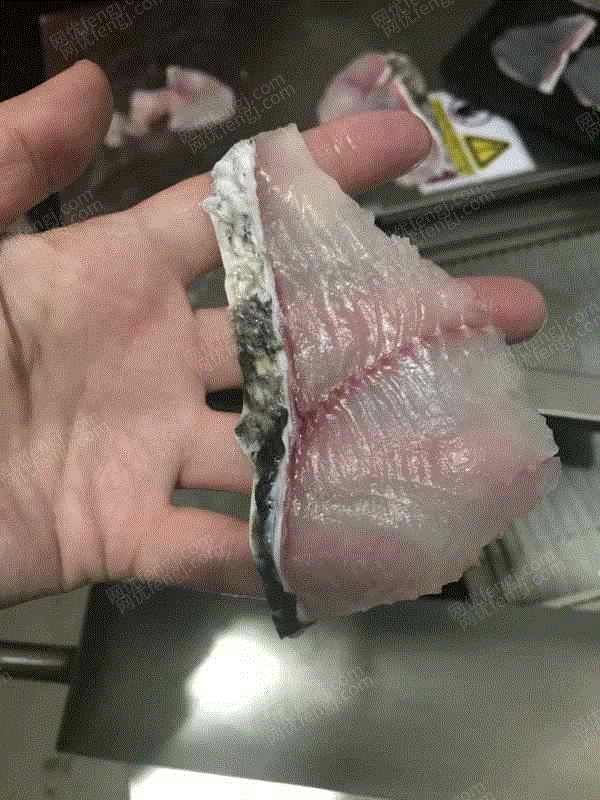 二手肉制品加工设备价格