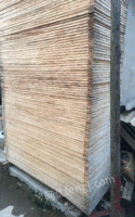 上海金山区本人有一批木箱木板处理145个870*800*1820 20元/个