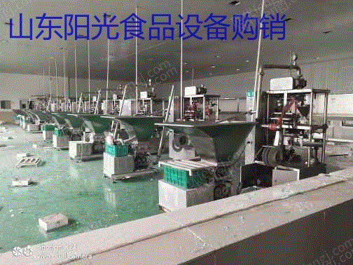二手肉制品加工设备出售