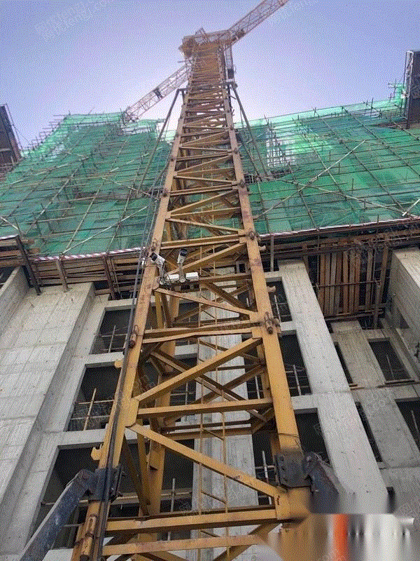 河北保定出售金魁塔吊