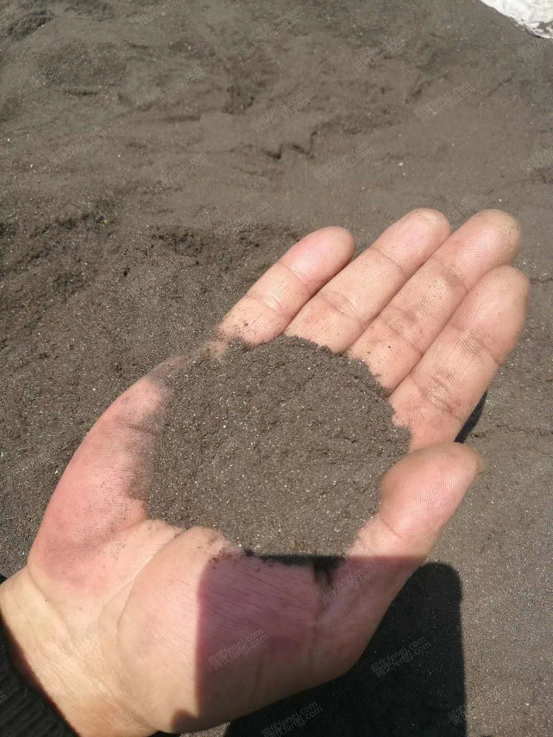价格
