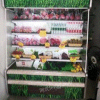 四川达州水果蔬菜风幕柜出售