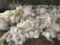 长期供应废旧大棚膜塑料毛料