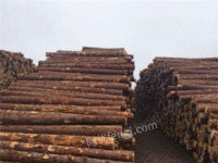 北京通州区低价出售各种建筑木方模板