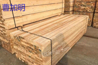 云南回收大批木方层板