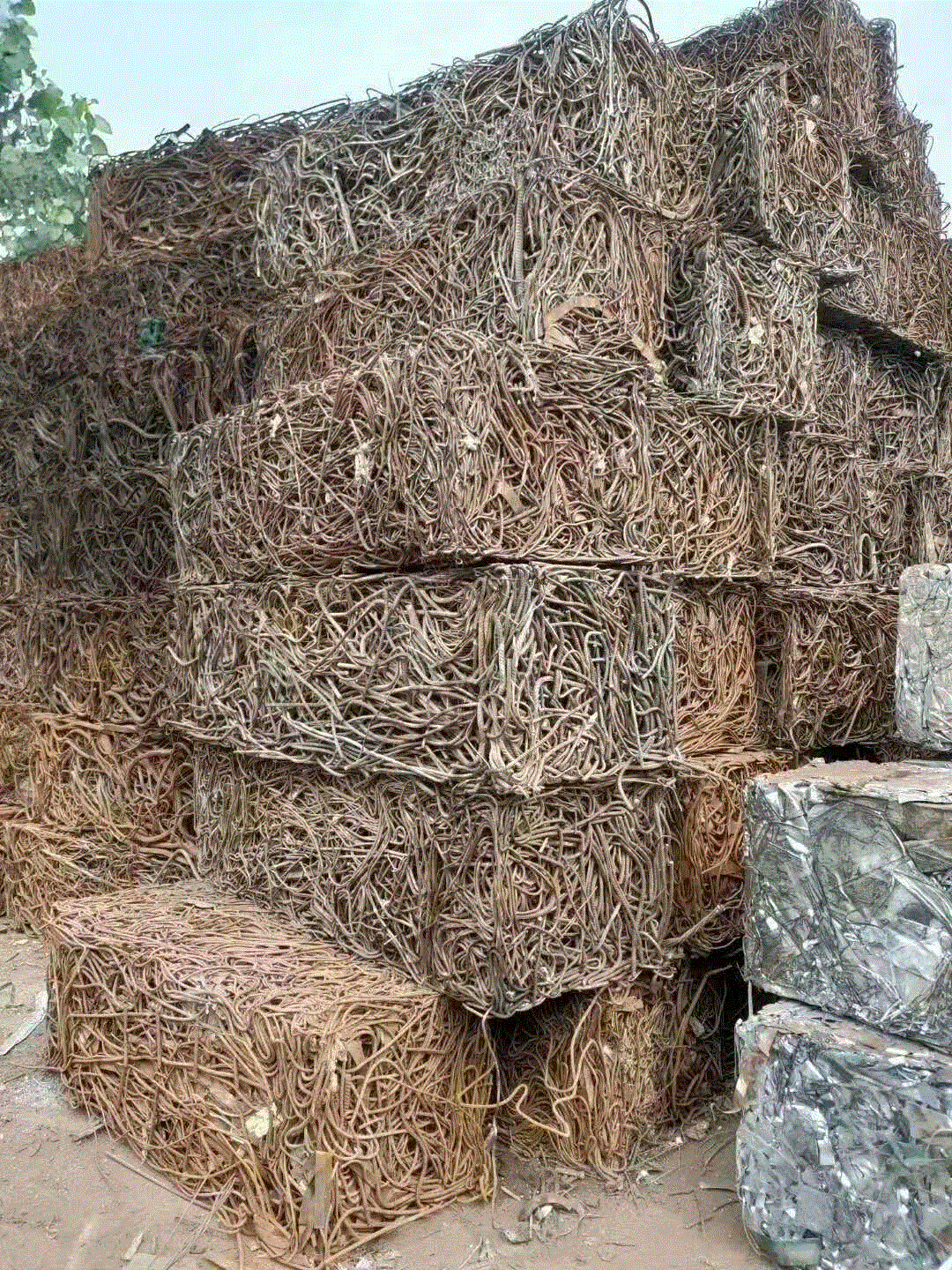 供应一批纯钢筋压块图片