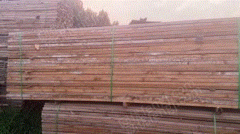 小废(精料)价格