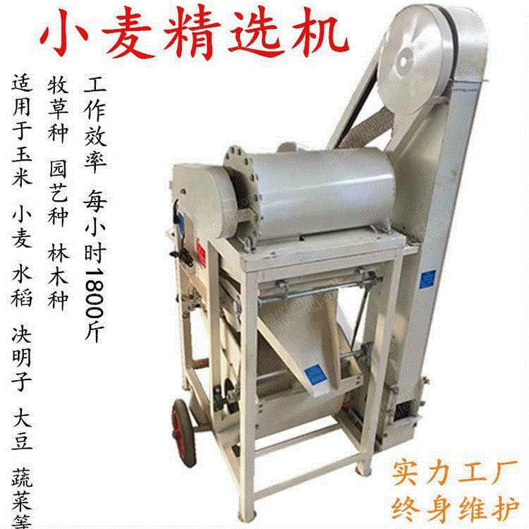 供应小型小麦去皮精选机 玉米精选机种子清选机 颗粒种分选机 分选设备价格