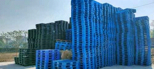 塑料托盘木托盘出售