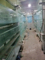 上海崇明县观赏鱼养殖场转让 大循环模式 好操作出售