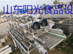 二手果蔬处理设备价格