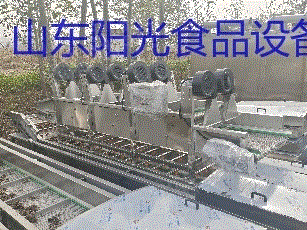 二手果蔬处理设备价格