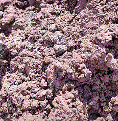 其它william hill威廉希尔出售