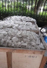 钢化玻璃/其他废玻璃价格