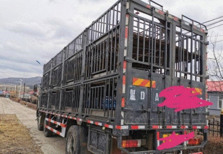 厢式货车/集装箱车出售