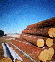宁夏银川批发出售木方 防腐木 木跳板等木制品