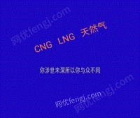 河北廊坊cng lng 天然气出售