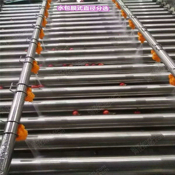带预冷系统的樱桃分选机 樱桃选果分级机出售 分选设备出售