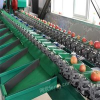西红柿选果机 西红柿重量分级设备挑选西红柿大小的机器出售