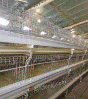 江苏南京因养殖计划改变，全自动肉鸡养殖设备出售