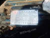 江苏苏州二手硬纸板撕碎机800型配30kw电机3.8万出售