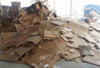 河南废纸回收公司每月大量回收各种废纸