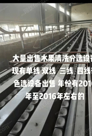 二手果蔬处理设备出售