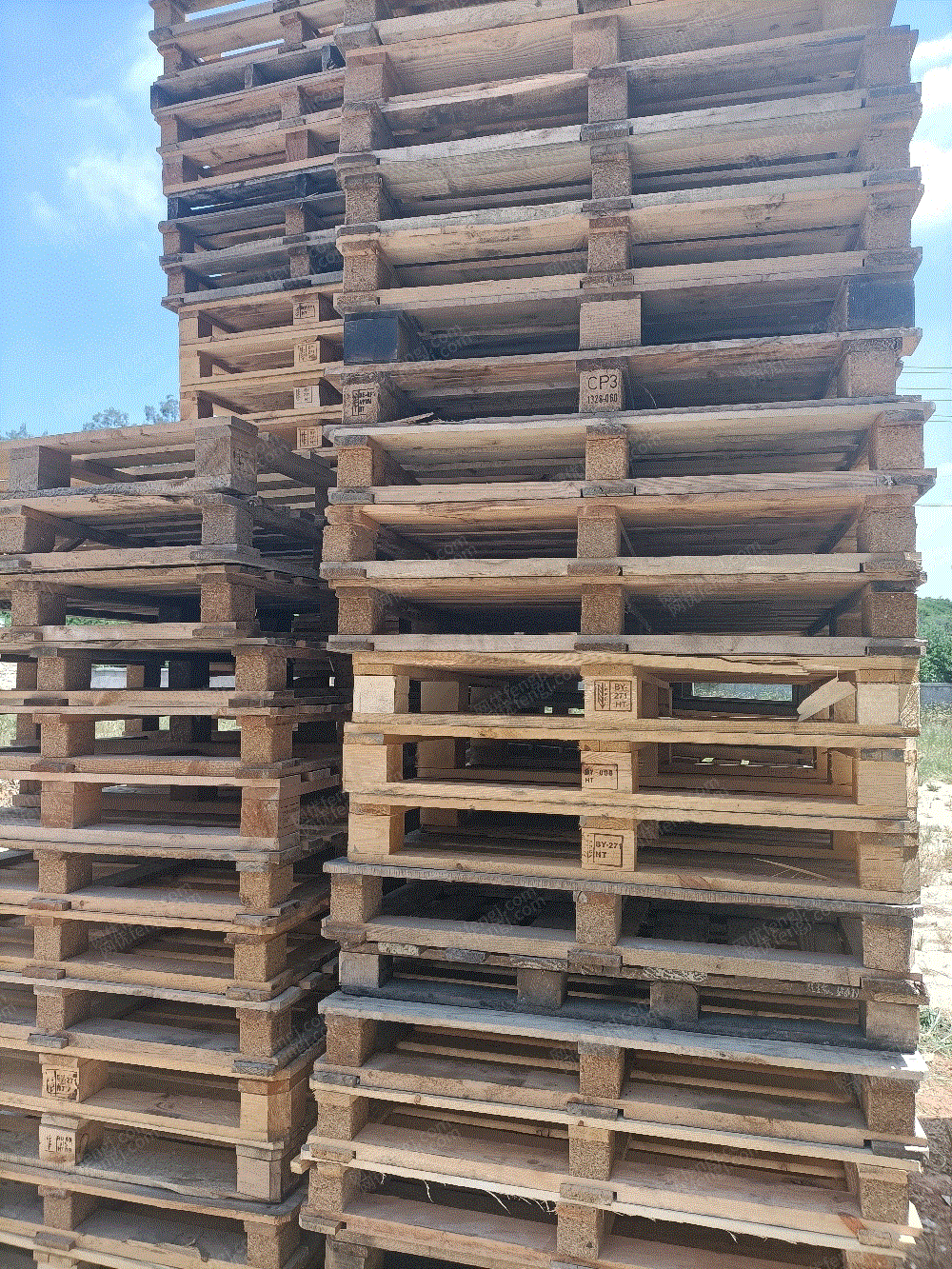 生活類廢塑料價(jià)格