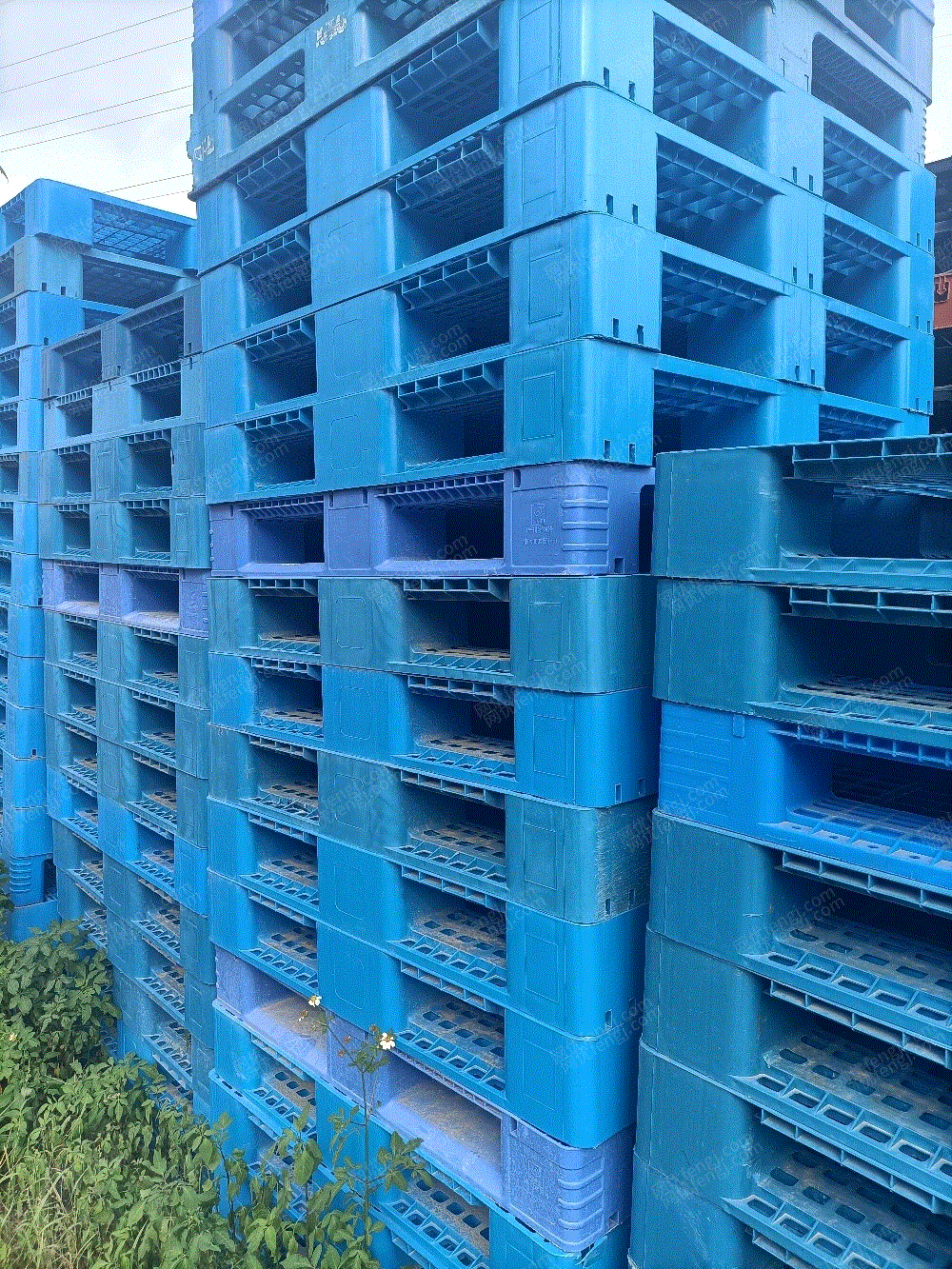 生活類廢塑料轉(zhuǎn)讓