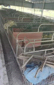 畜牧饲养机械出售