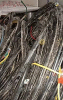 长期大量回收电线电缆 废铁 电机