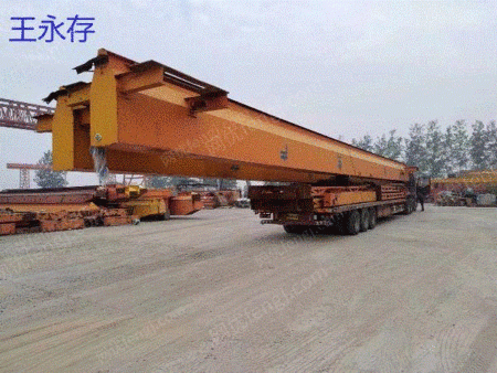中古10トンのヒョウタンを処理-河南省