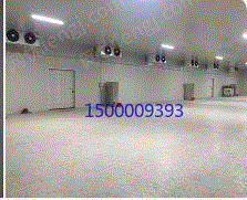 上海地区で大小さまざまな冷凍庫が高値で回収された