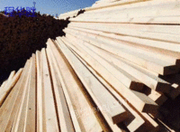 Buy 30 tons of building square timber in Guangzhou cash