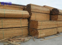 Specializing in recycling construction site wood squares and templates