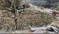 长期大量高价回收各种木方，模板，木材等