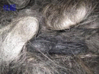 Buy rhodium-containing waste at a high price in Jiangxi