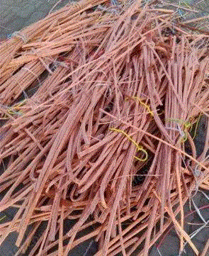 威海現金が銅くずを買収