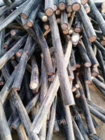 Zhongshan Cash Buy Scrap Copper