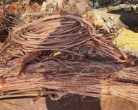 Long-term Recovery of Scrap Copper in Taizhou, Jiangsu Province
