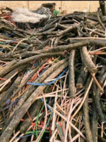 山东济南大量回收电线电缆