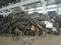 Scrapped equipment and scrapped electromechanical materials in recycling factories in Xinxiang area