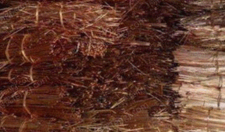 広東省では高価で大量の銅くずを回収